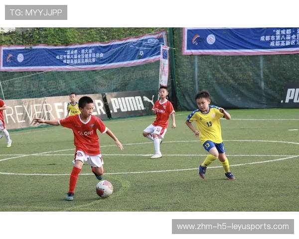 “新都兴城垒球赛：强队争锋，谁能拔得头筹？”