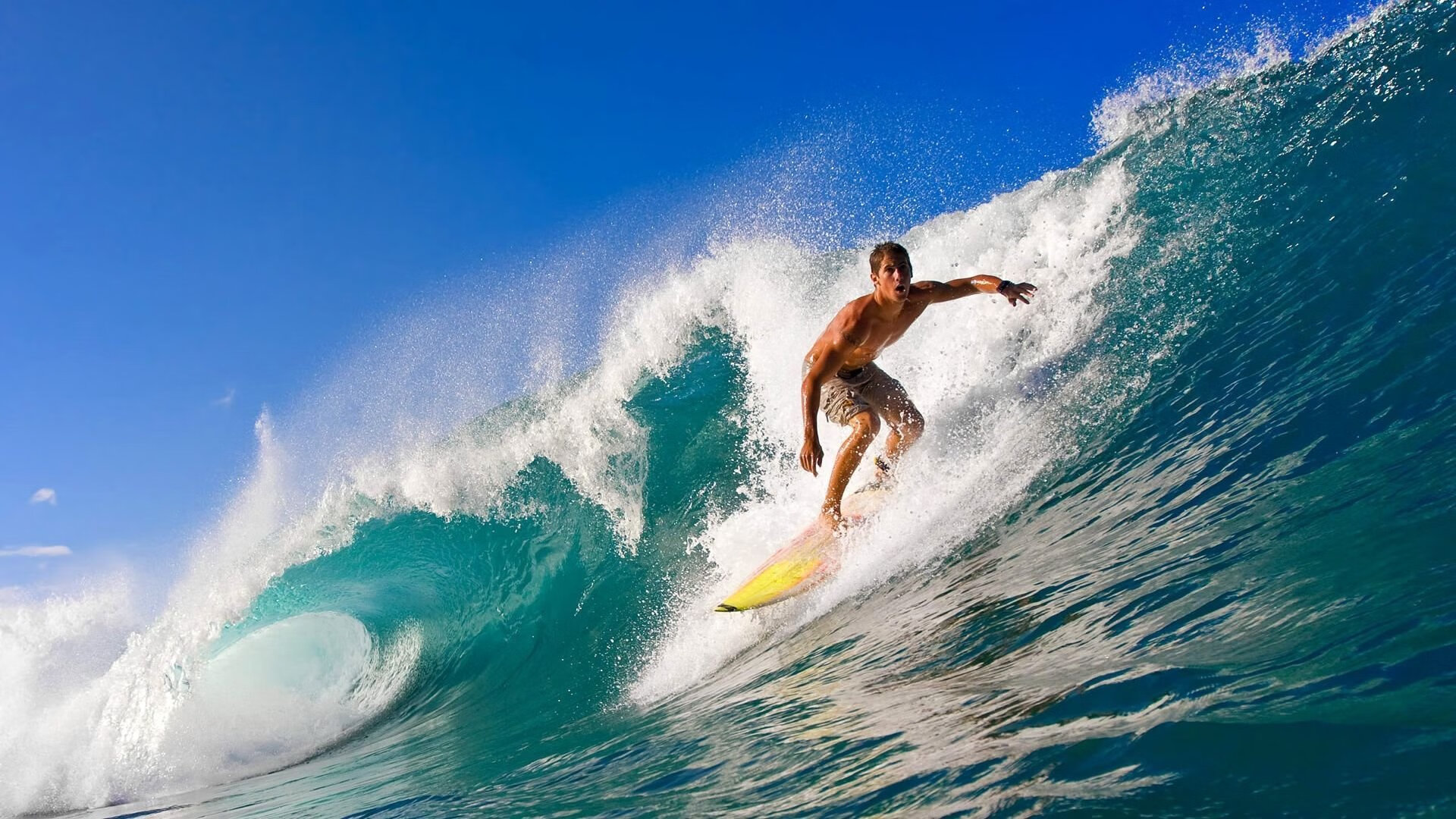 “从青涩新星到核心球员:萨尔·巴赫的快速成长”