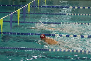 乐鱼体育下载-世界游泳锦标赛连续夺金，实力证明中国，世界游泳锦标赛举办地